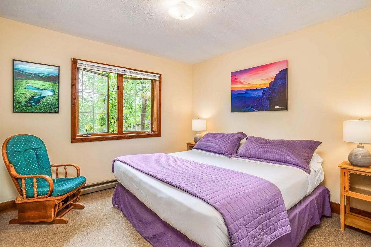 Love Ridge Mountain Lodging Lyndhurst Ngoại thất bức ảnh